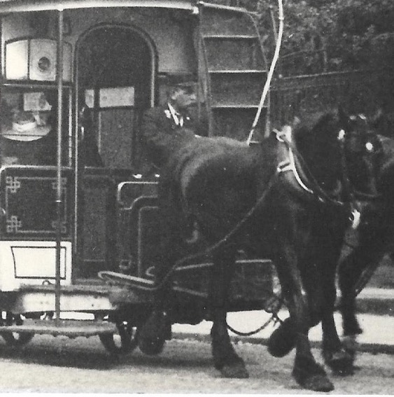 Newcastle and Gosforth Tramways horse  tram driver
