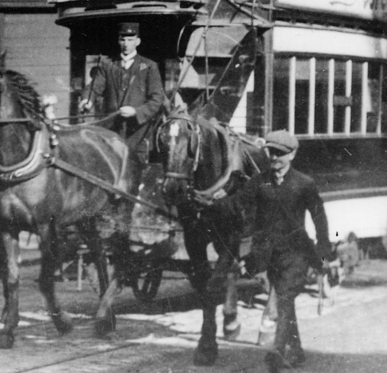 City of York Tramways Company horse tram driver and trace horse