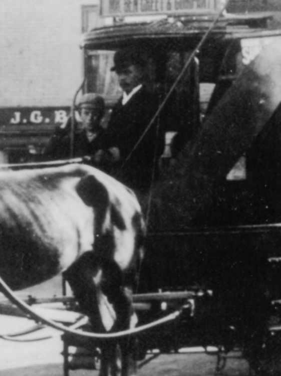 Yarmouth and Gorleston horse tram driver