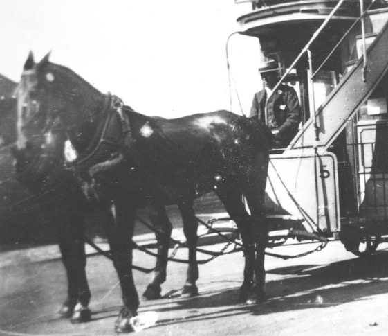 Brighton and Shoreham horse tram No 5 and driver